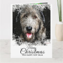 Search for irish christmas cards Wolfhound