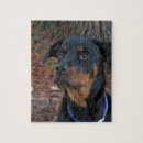 Search for dog breeds puzzles Rottweiler