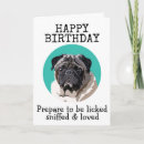 Search for funny dog quotes cards Dogs