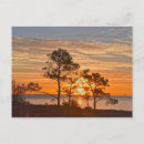 Search for sunrise postcards Beach