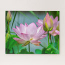 Search for lotus flower puzzles Pond