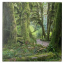 Search for national park tiles Outdoors