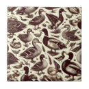 Search for duck tiles Nature