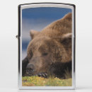Search for bear lighters Animal