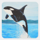 Search for orca stickers Ocean