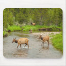 Search for national park mousepads Rocky mountain