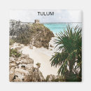 Search for tulum magnets Landscape