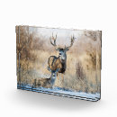 Search for the mulee home living Buck