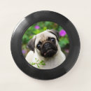 Search for dog frisbees Funny