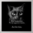 Search for black cat posters Pet