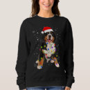 Search for bernese mountain dogs hoodies Matching