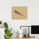 Search for lizard posters Agama