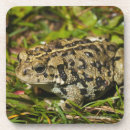 Search for two sided coasters Full length