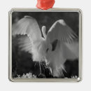 Search for naples florida ornaments Black