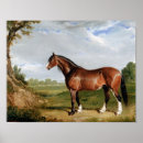 Search for vintage equestrian horse posters Antique