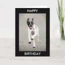 Search for dog birthday cards Happy