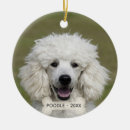 Search for poodle ornaments Animals