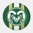 Search for colorado magnets Csu