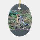 Search for cheetah ornaments Photography