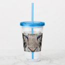 Search for cat tumblers Animal