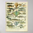 Search for vintage animal posters Wall