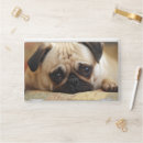 Search for cute laptop skins Puppy