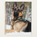 Search for pet sitting planners Cute