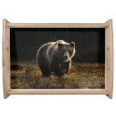 Search for bear serving trays Wildlife