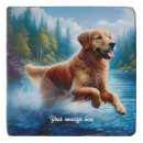 Search for golden retriever with cake Funny dog