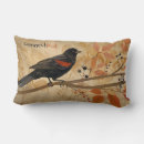 Search for country pillows Outdoors
