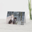 Search for horse cards Equine