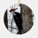 Search for pileated woodpecker gifts Birds