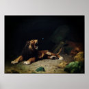 Search for lion posters Jungle animal