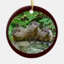 Search for groundhog ornaments Rodent