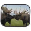 Search for grass car floor mats Blue