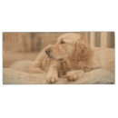 Search for dog usb flash drives Portrait