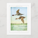Search for vintage bird postcards Watercolor