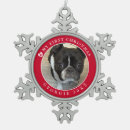 Search for photo snowflake ornaments Cute