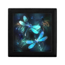 Search for flying butterflies gift boxes Blue