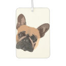Search for for fresheners car air fresheners For her