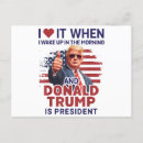 Search for donald trump postcards America