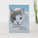 Search for death pet sympathy cards Cats