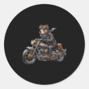 Search for steampunk stickers Colorful