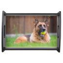 Search for tennis serving trays Dog