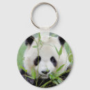 Search for panda keychains Kawaii