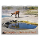 Search for yellowstone national park calendars Nature