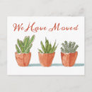 Search for cactus postcards Modern