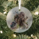 Search for boykin spaniel ornaments Swamp poodle