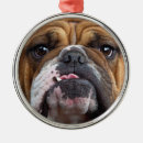 Search for english bulldog ornaments Dog lover
