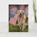 Search for 4th of july golden retriever America